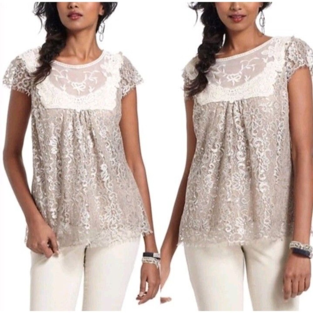 Anthropologie HD in Paris embroidered metallic lace detail top sz 10 whimsical